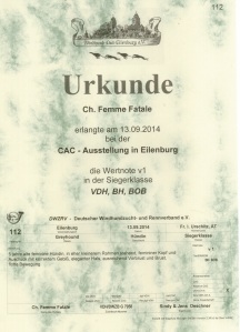 Richterbericht Femme Eilenburg Sept 2014
